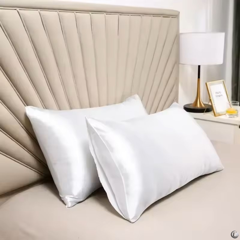 100% Natürlicher Maulbeerseide – Silk Pillowcase Bewertung und Preis
